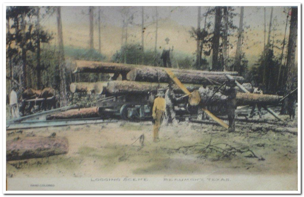 Boy in front of Logs